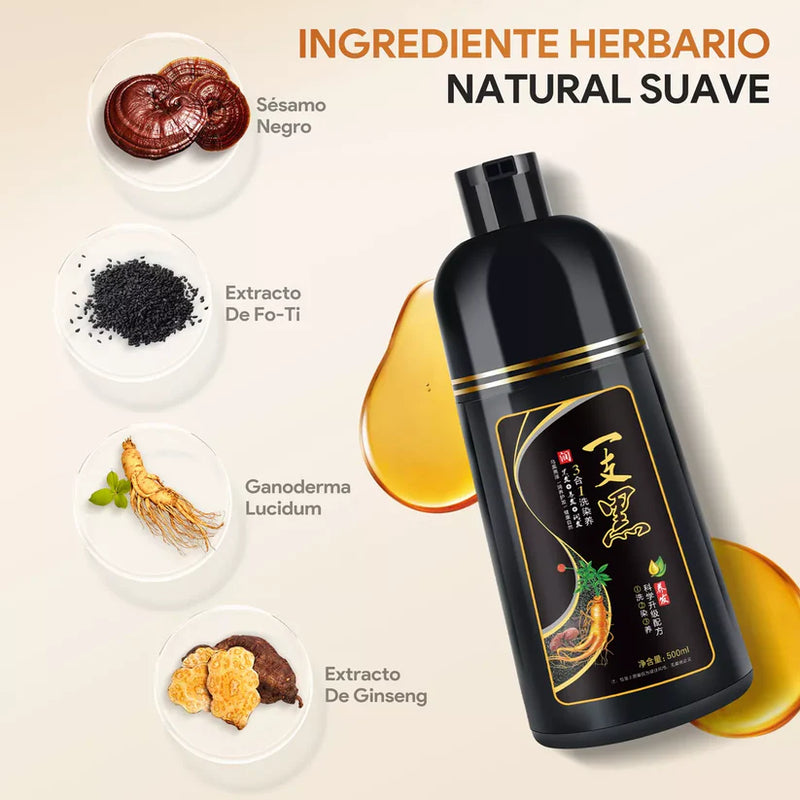 Shampoo Instantáneo Cubre Canas 3 en 1 Natural - Jengibre